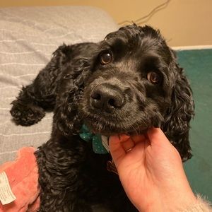 Meet your Posher, Kayla